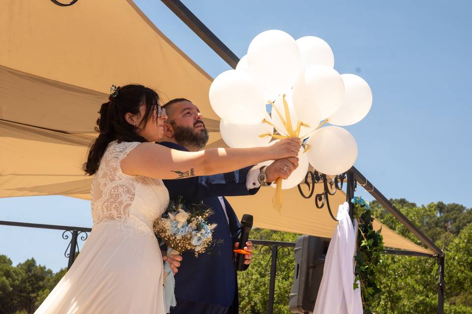 Boda l & d