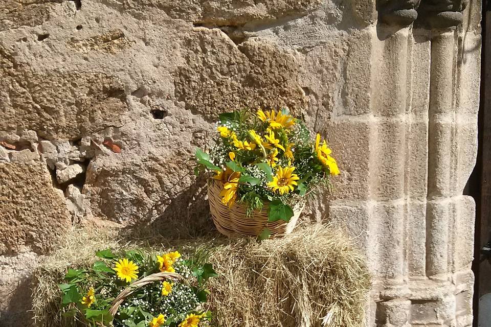 Floristería Flor de Jara