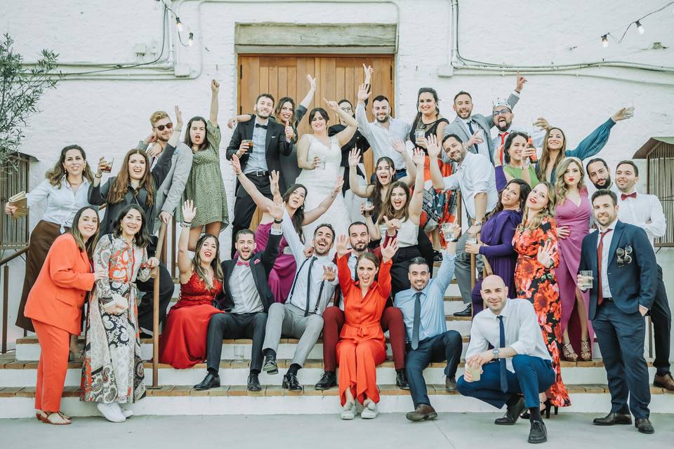 Tom Foy Weddings