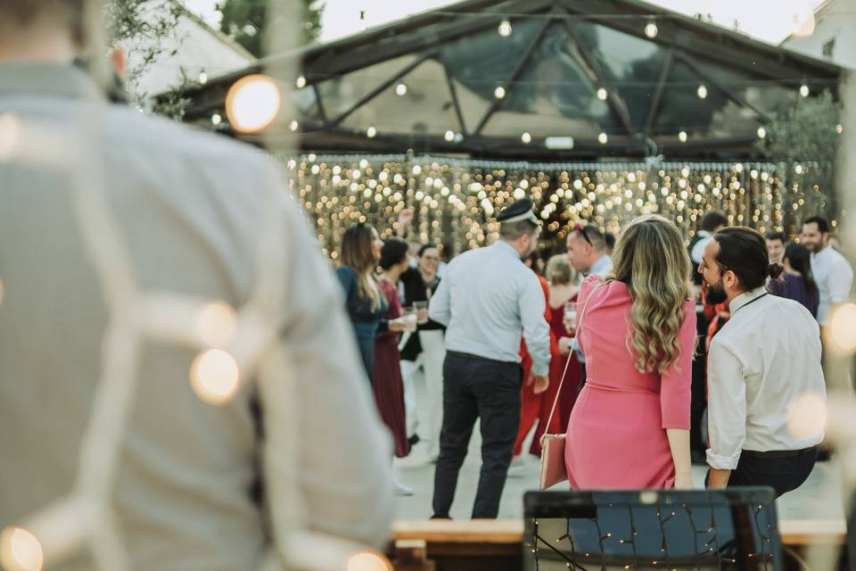 Tom Foy Weddings