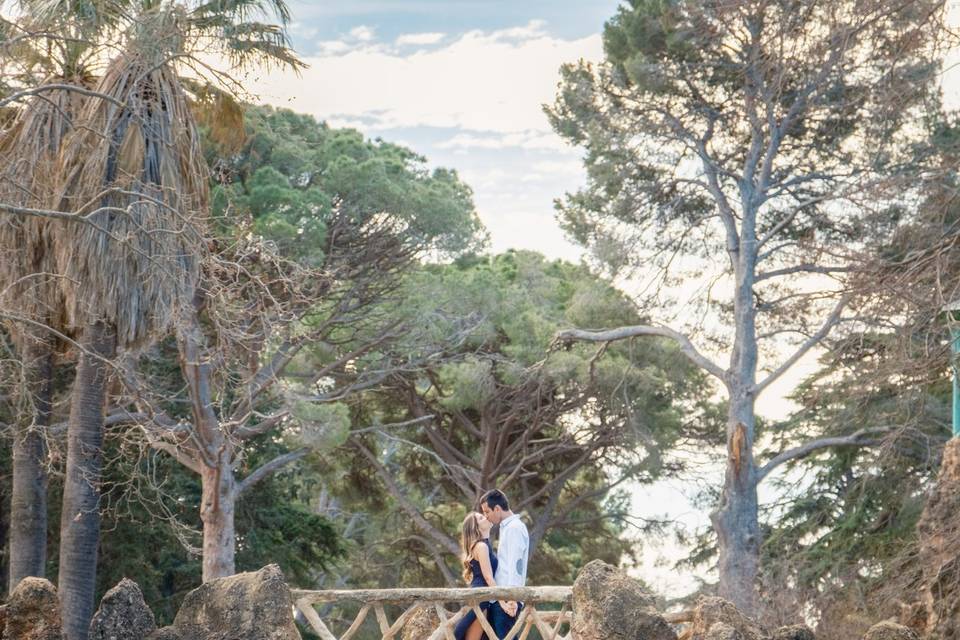 Tom Foy Weddings