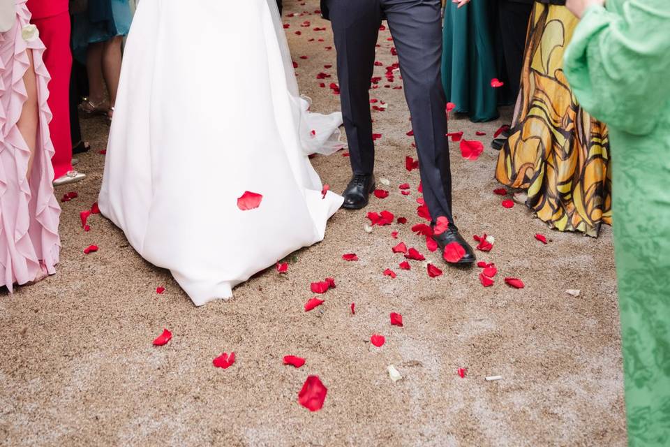 Tom Foy Weddings