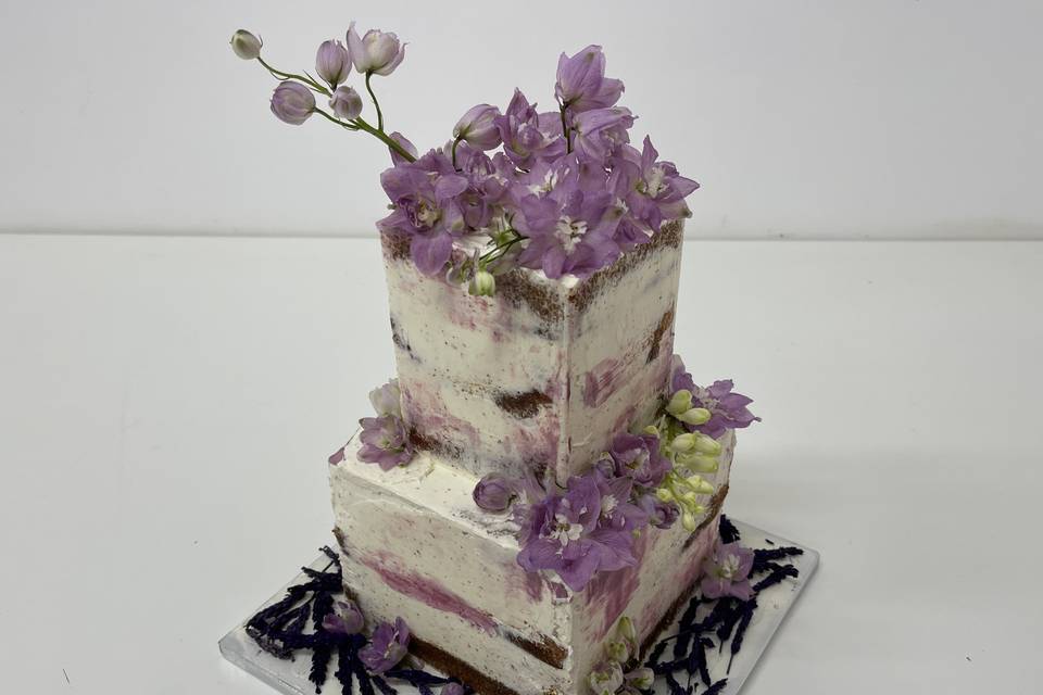 Delphinium