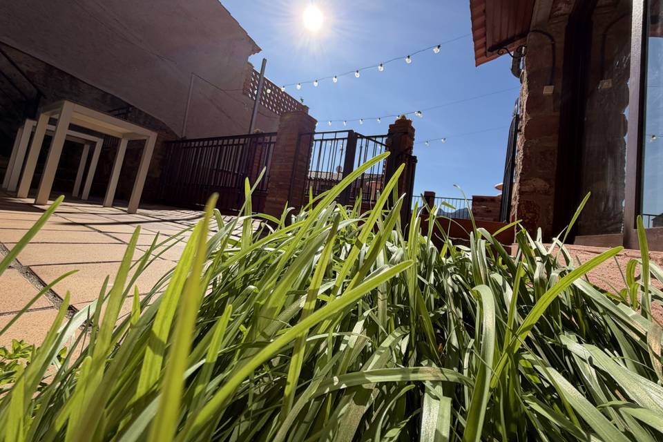 Terraza 3