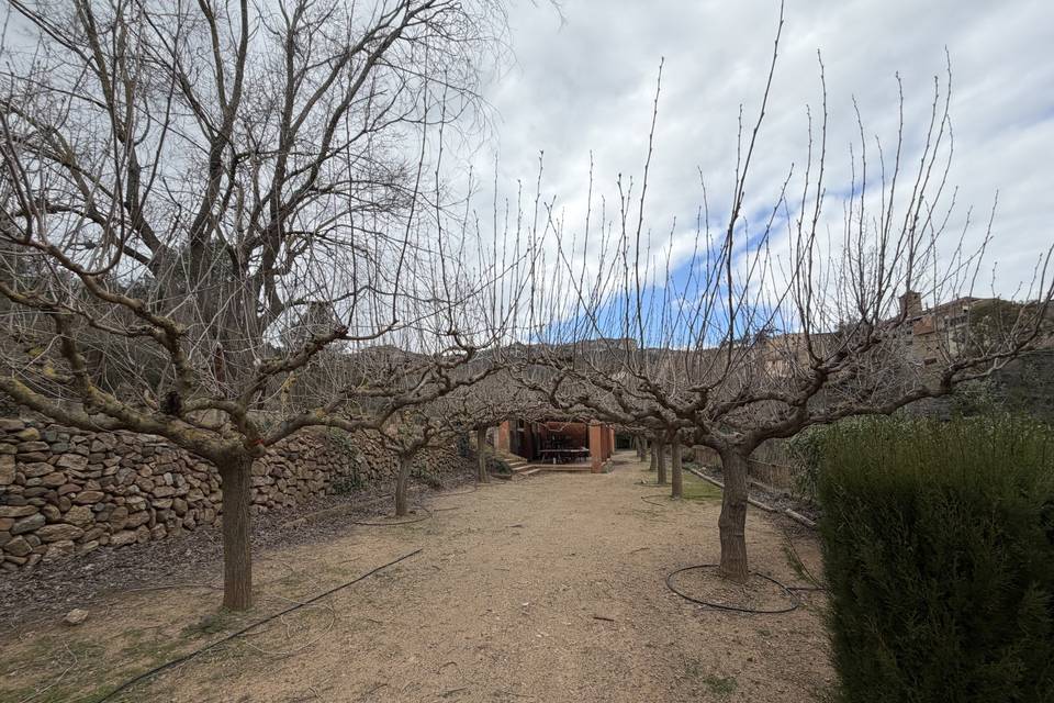 Hort de l'Abadia (terreno)