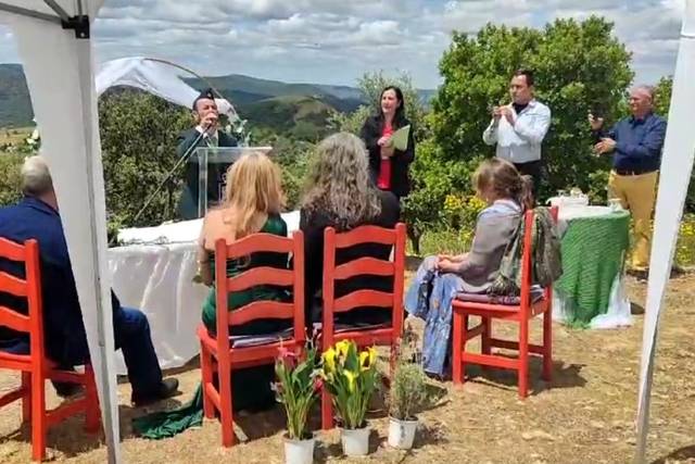 Bodas
