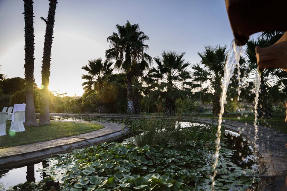 Hacienda La Masía