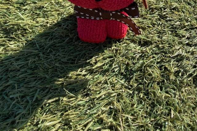 Mini toalla