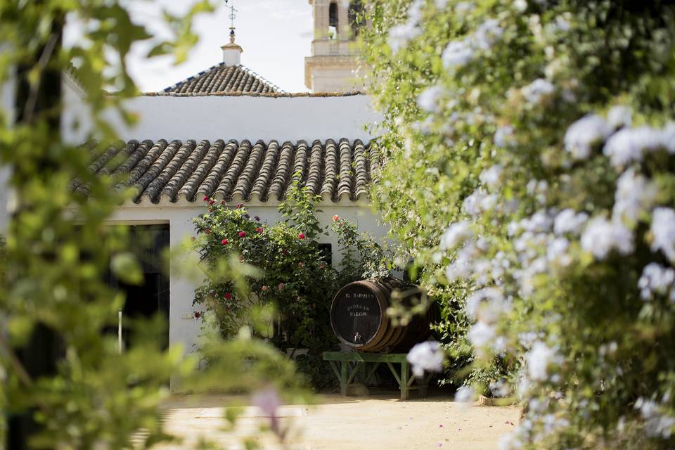 Bodegas Halcón