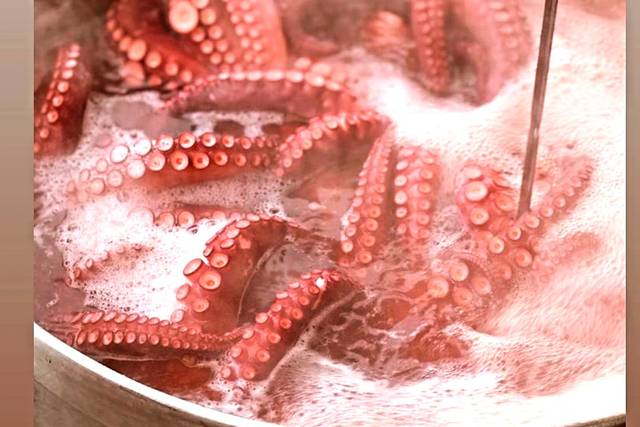 Pulpo