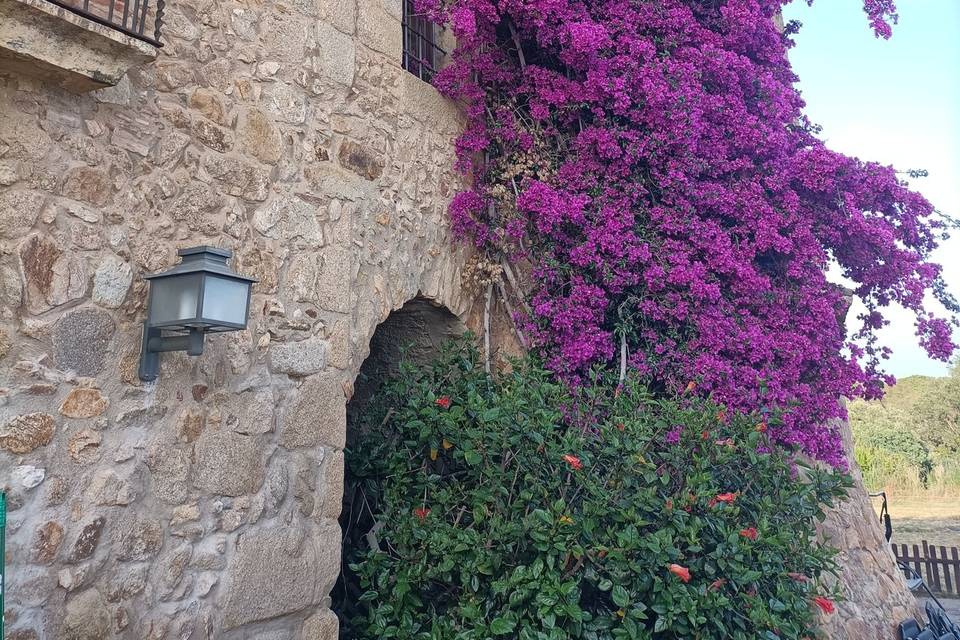 Verano