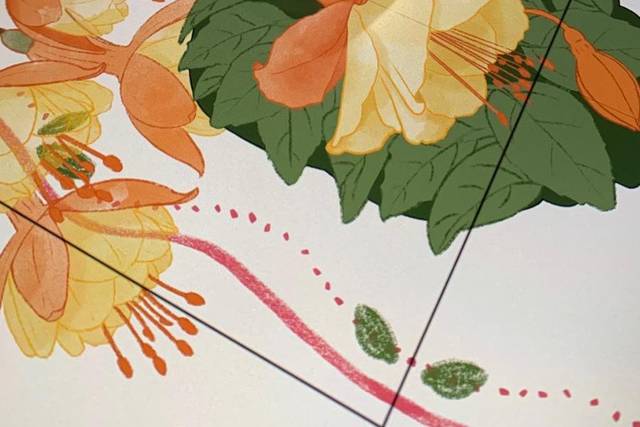 Ilustración Invitación
