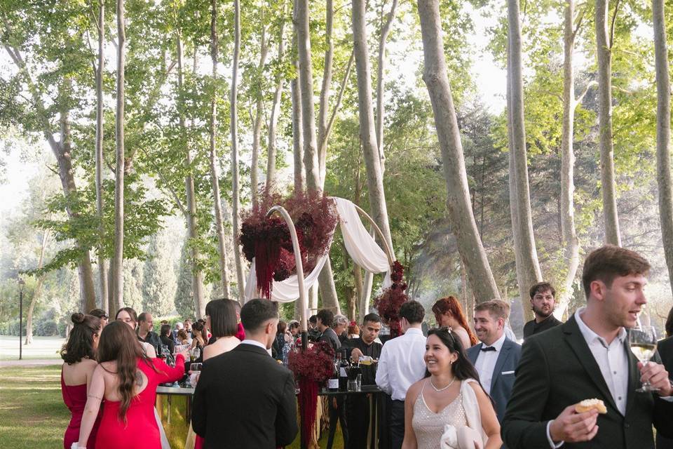 Aperitivo en el bosque