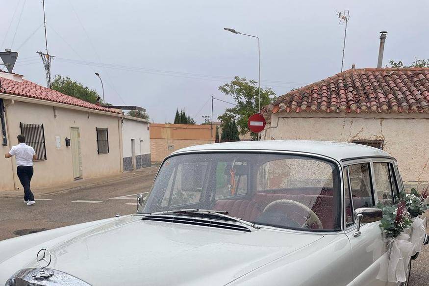 Delantera