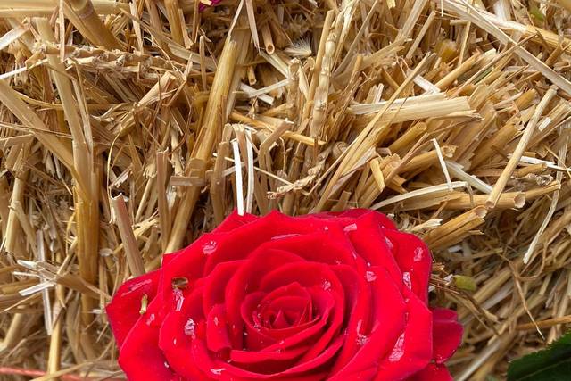 Detalles de boda