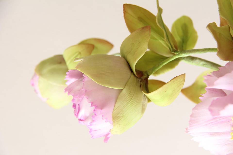 Chinese Peonies Cake