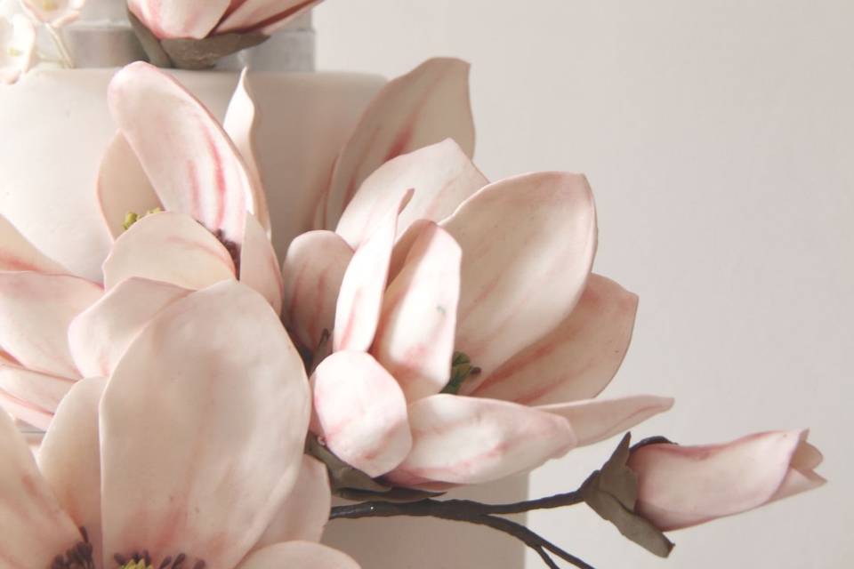 Pastel con Magnolias