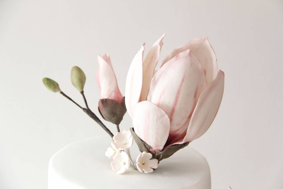 Pastel con Magnolias