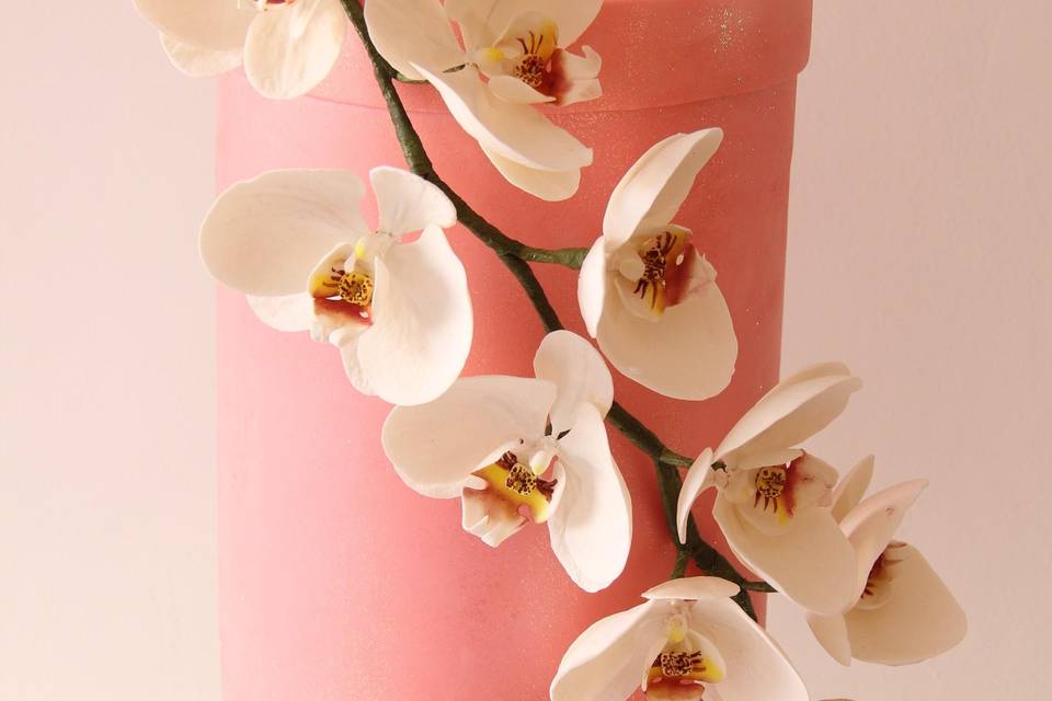 Phalaenopsis Cake