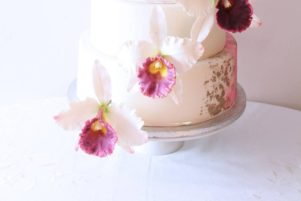 Cattleya Cakee