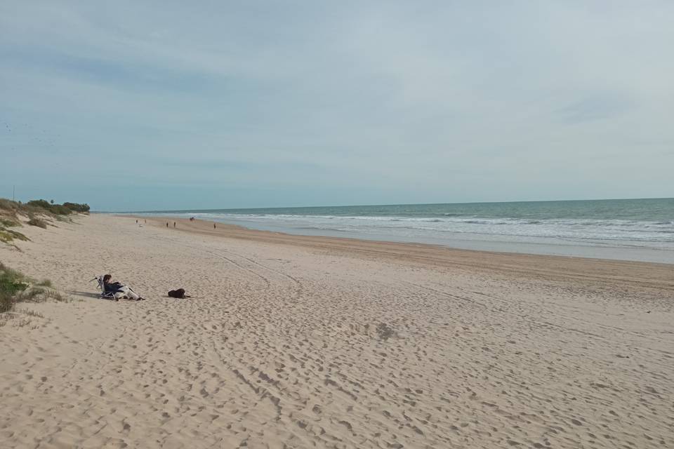 Playa a 80m del hotel