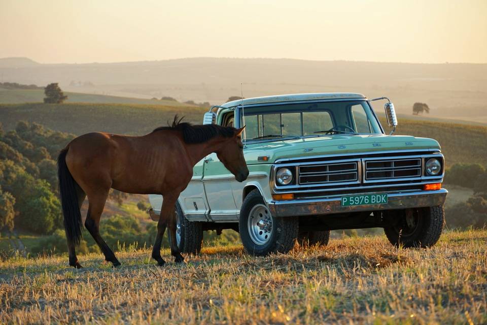 F250 (3 plazas)