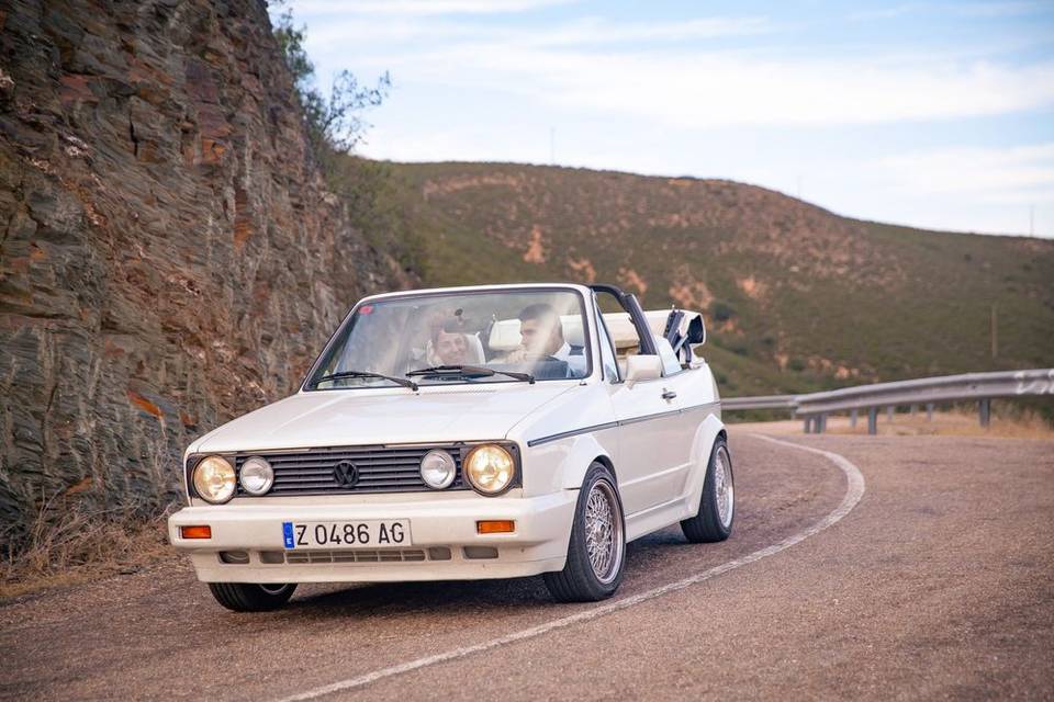 Unico