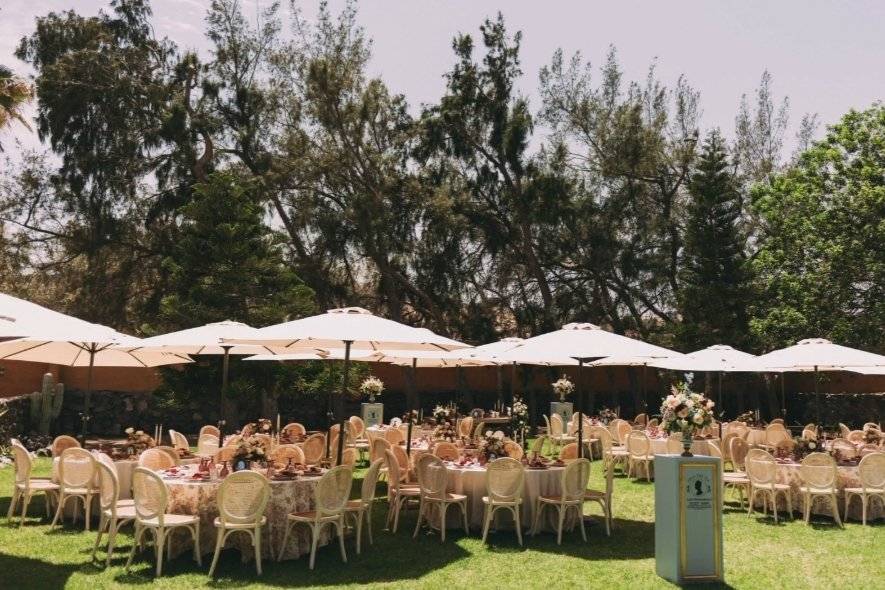 Zona banquete