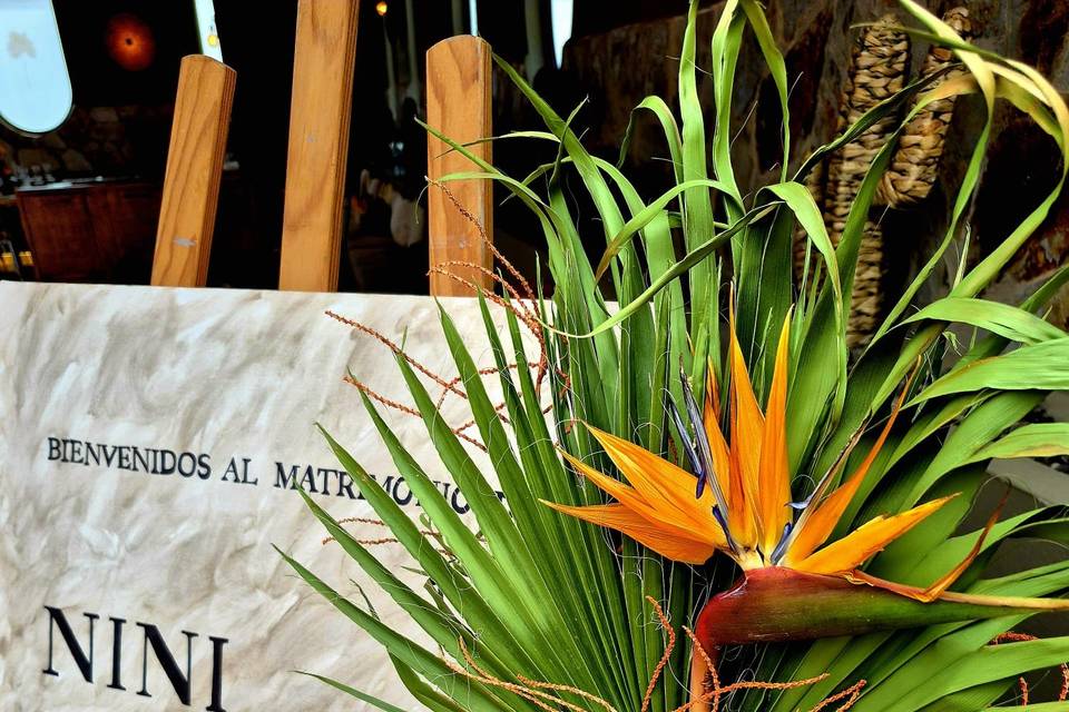 Rincón de bienvenida