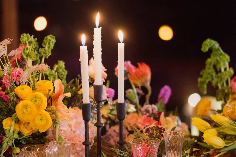 Magia nocturna entre flores