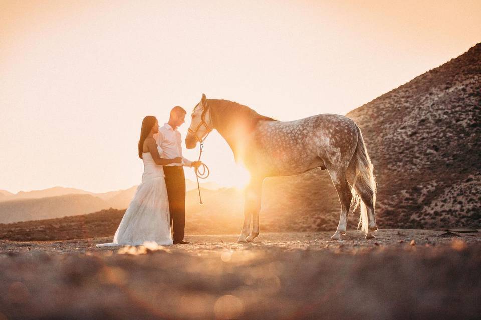 Alegría Bodas ©