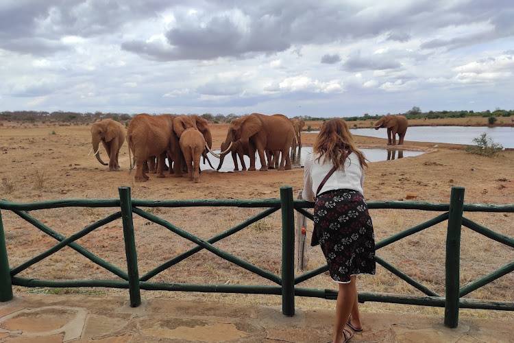 Viajar en femenino - Safaris