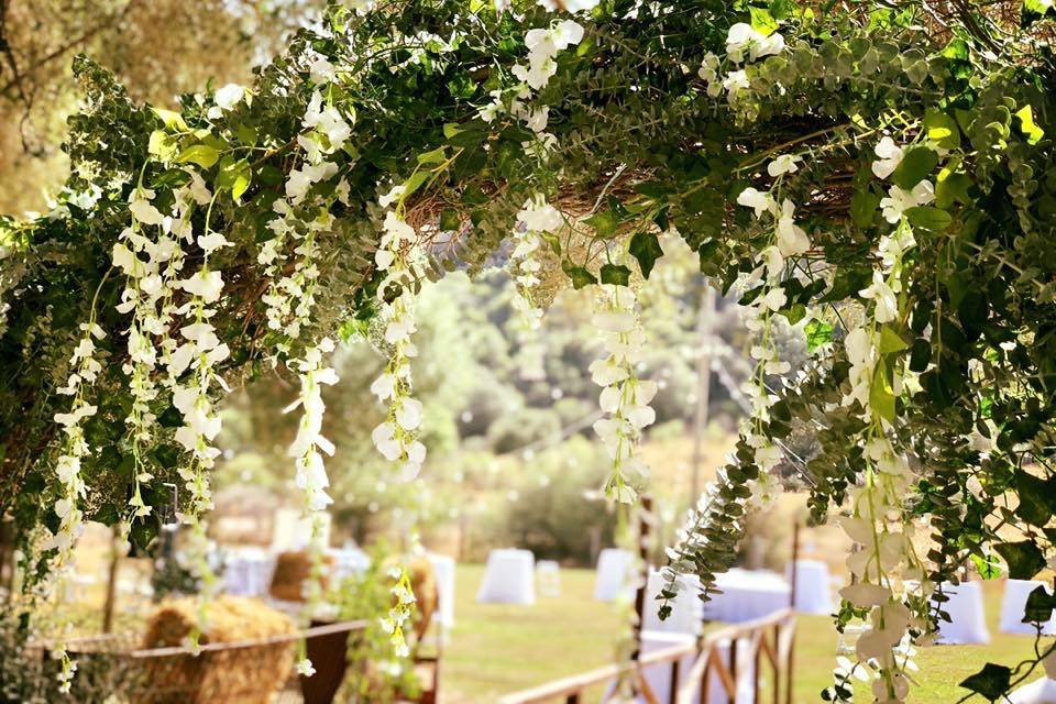 Organización de bodas