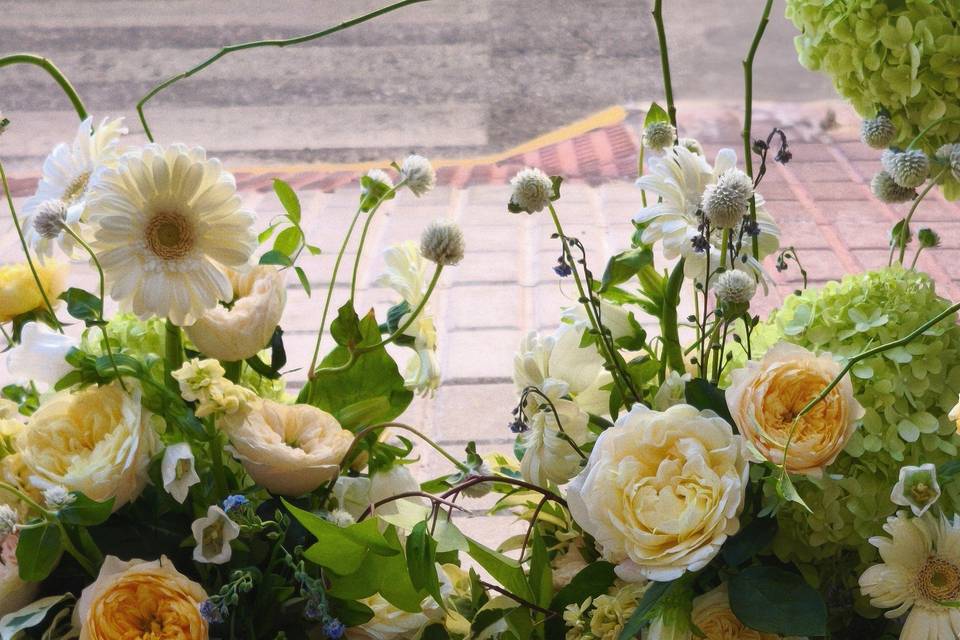 Peach wedd