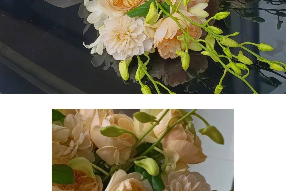 Peach wedd