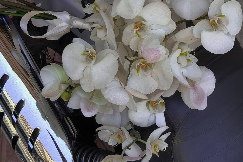 Orchid bouquet