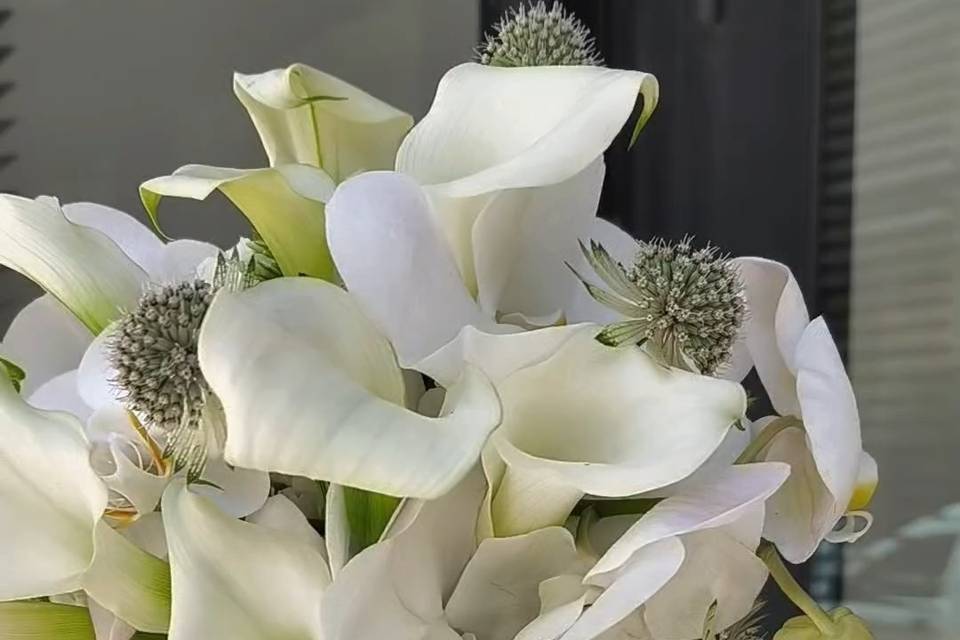 Calas con orquídeas