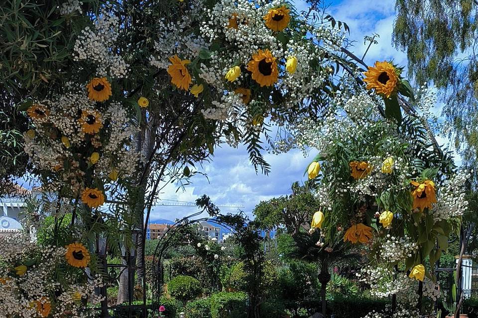 Sunny and rustic