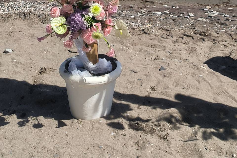 Wedding in the beach