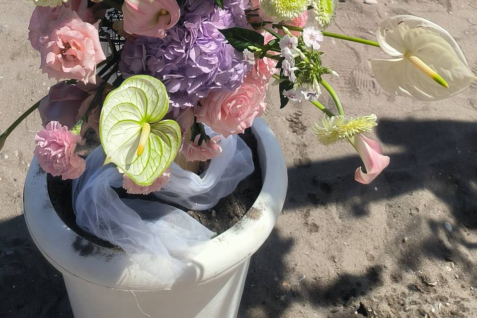 Wedding in the beach