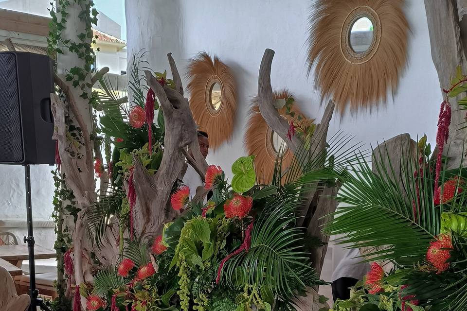 Tropical event