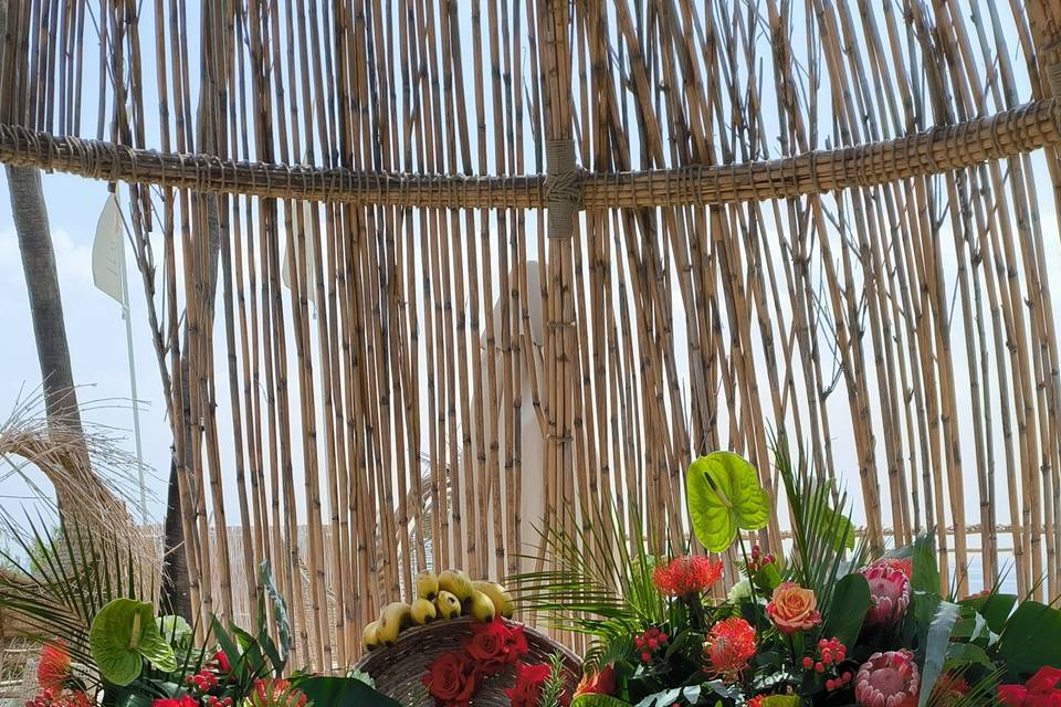 Tropical event