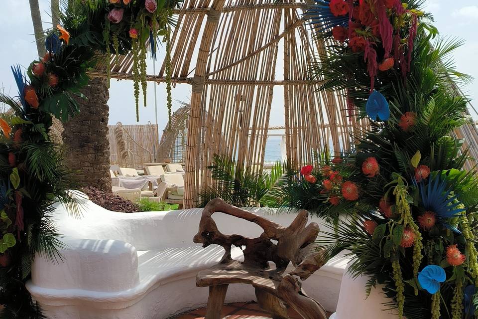 Tropical event