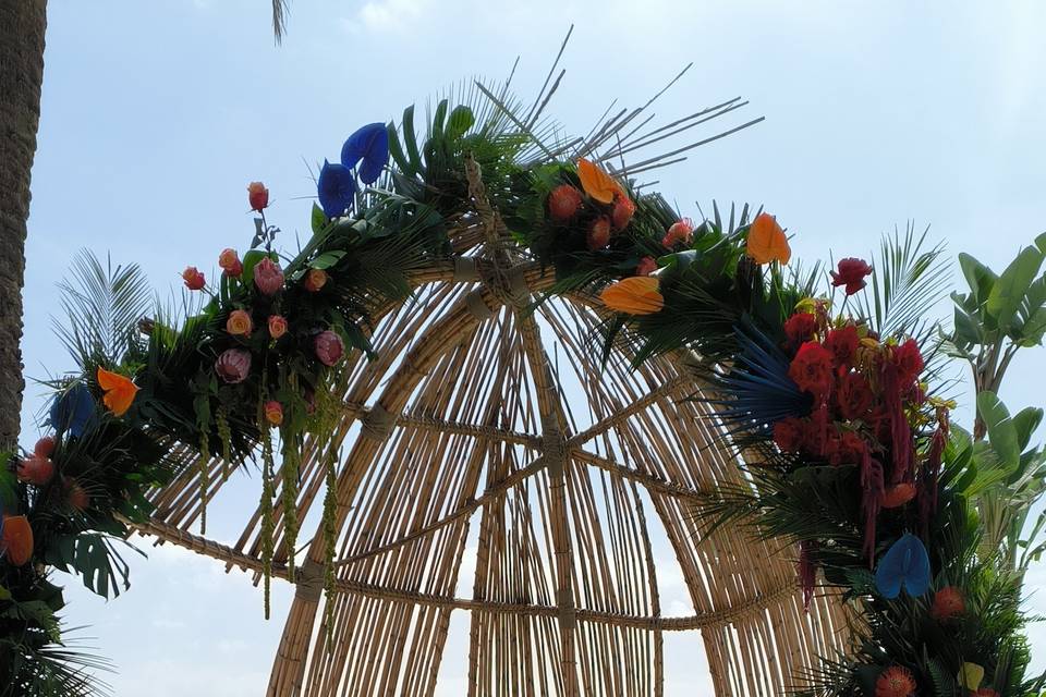 Tropical event