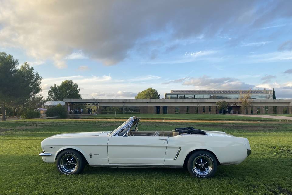 Mi Mustang y yo