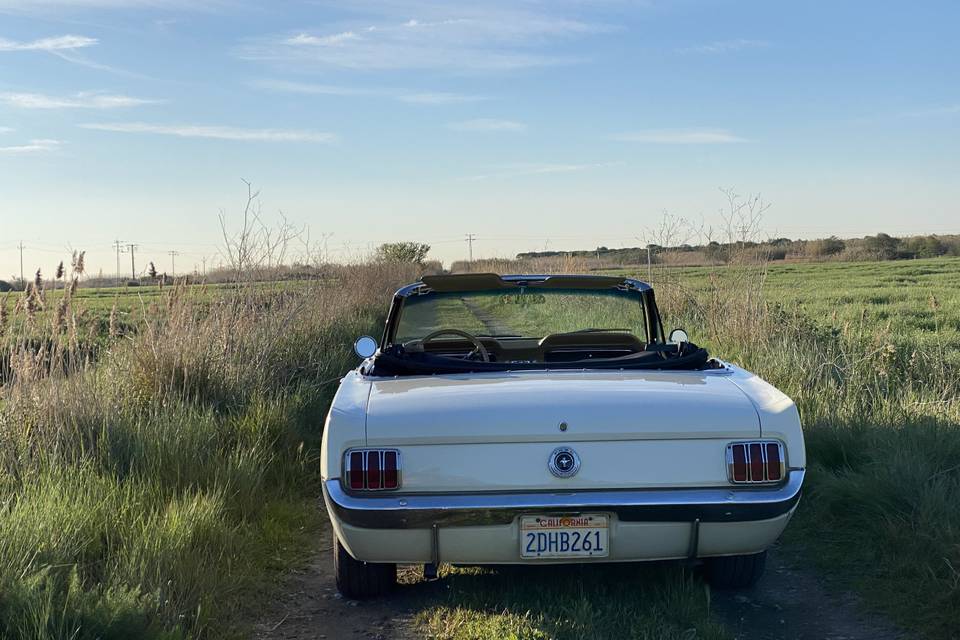 Mi Mustang y yo