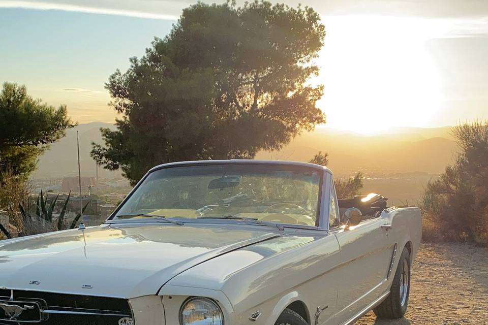 Mi Mustang y yo