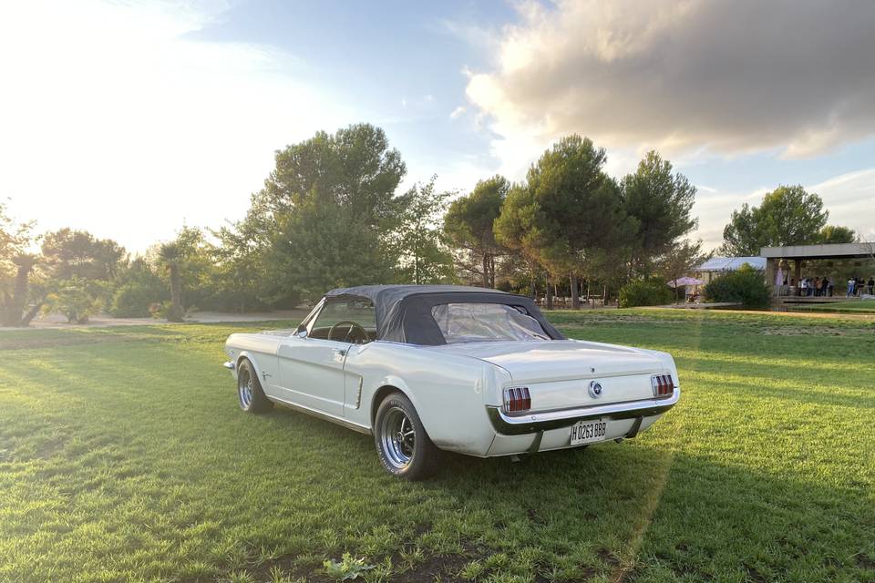 Mi Mustang y yo