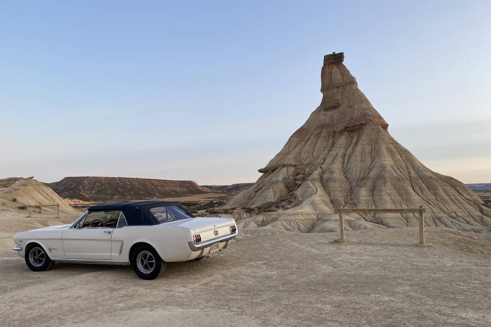 Mi Mustang y yo