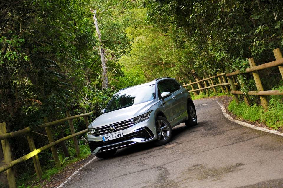 Tiguan gris